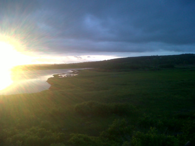 Picture of a marsh