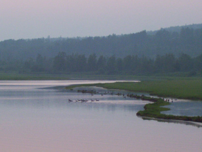 Picture of a river